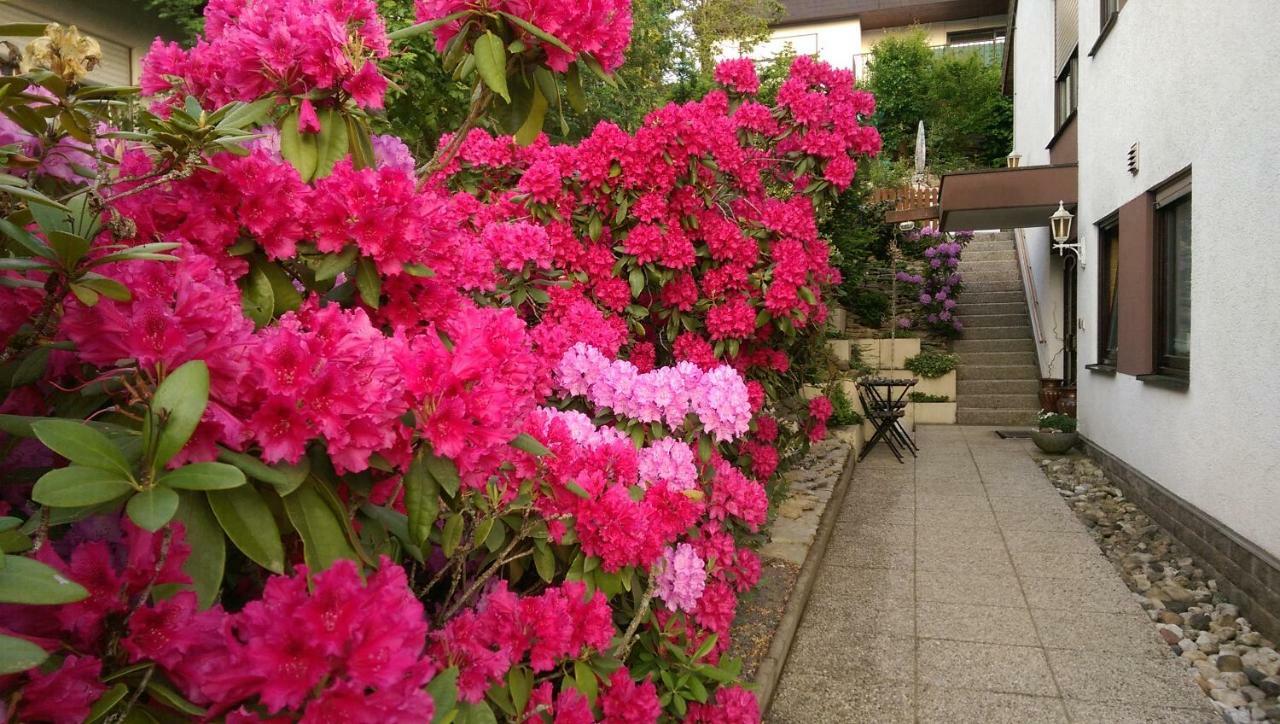 Ferienwohnungen Gala Bad Kissingen Exterior foto